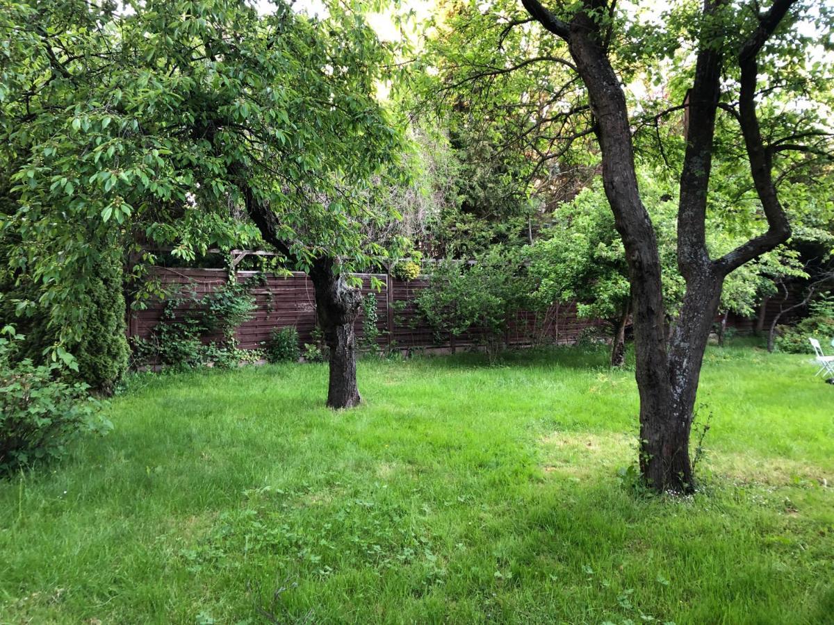 Green Hill Gdynia Orlowo Bagian luar foto